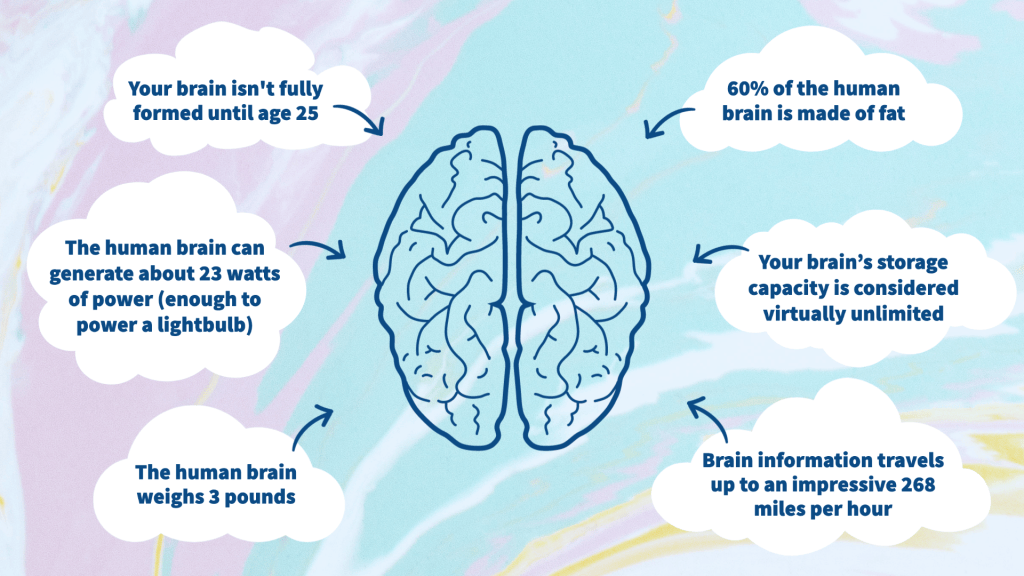 Approach to the Concepts of Neuroscience [LearningReport] - Be Bold Harmony